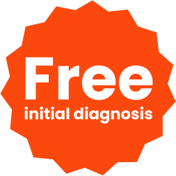 Website Diagnosis Fee